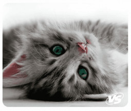 VS Коврик для компьютерной мыши "Cat", Рис.5 (194*233*3 мм), полипропилен+вспененный пластик