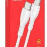 Usb Кабель-зарядка Type-C на Type-C Borofone BX51 Trumph 3A 60W 1м силиконовый белый